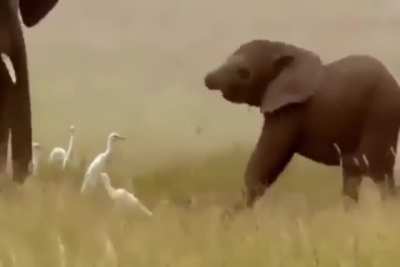 When you are little and you realize there is something hanging there