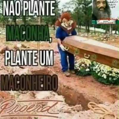 Aí vai nasce mais maconha do pulmão dele então se você plantar um maconheiro vai plantar maconha junto
