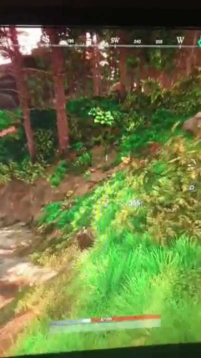 Mounts?