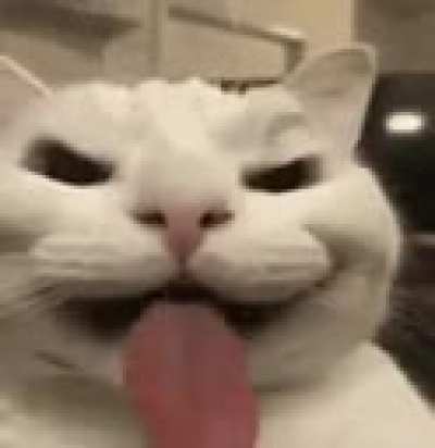 Your last saved image got me doing this
