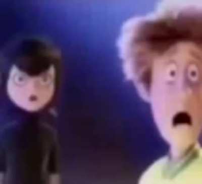 fedy fartshid
