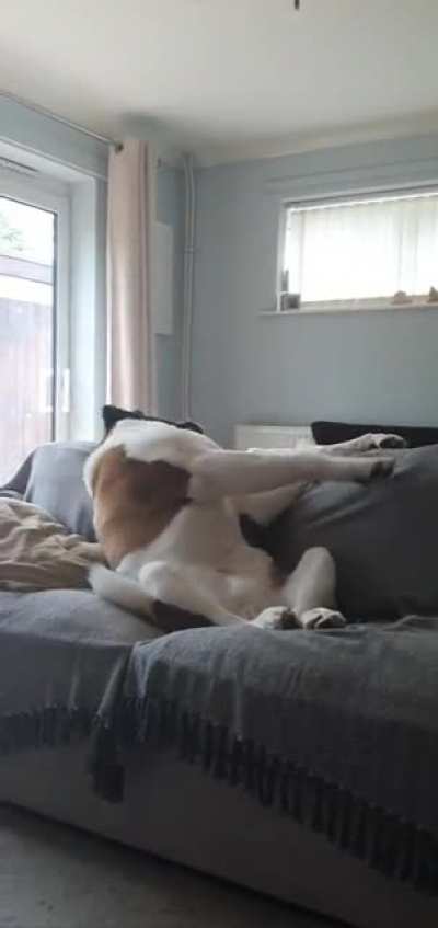 FLOMP