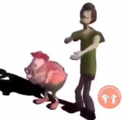 ð¤
