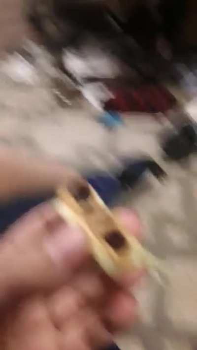 Dude I love ants on a log
