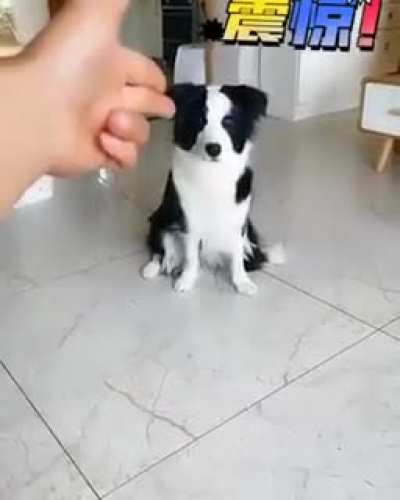 You gotta *teach 'em young*...