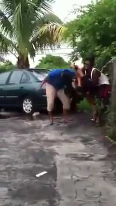 Bad bitches fighting