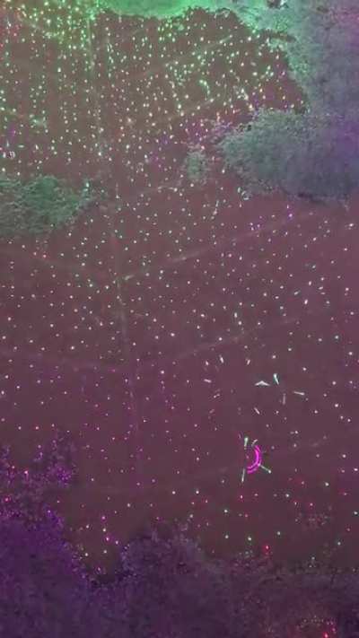 Puddle reflecting lights