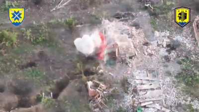 Ukraine's 56th Motorized Infantry Brigade use FPV kamikaze and artillery to great effect against Russian infantry. Hryhorivka village, Donetsk region [17/09/24]