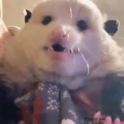 Big boy yawn