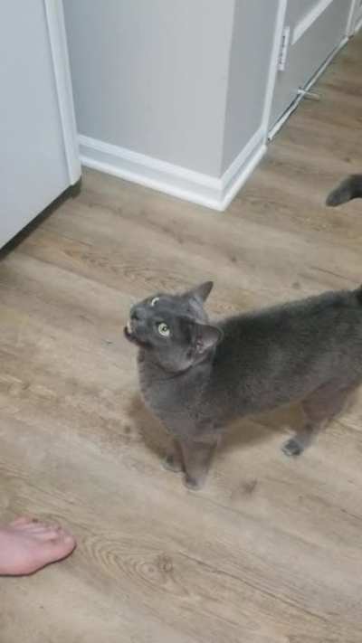 Precious now in the kitchen