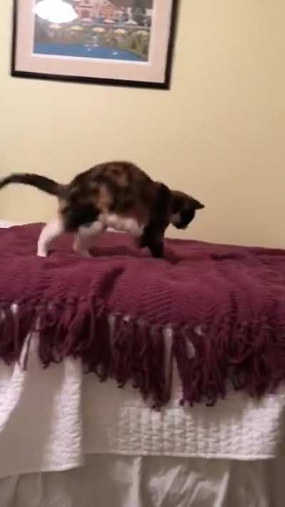 This is Carly. She’s 19, but look at her go!!