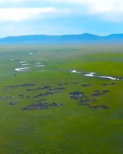 🔥 Wild horses in Mongolia