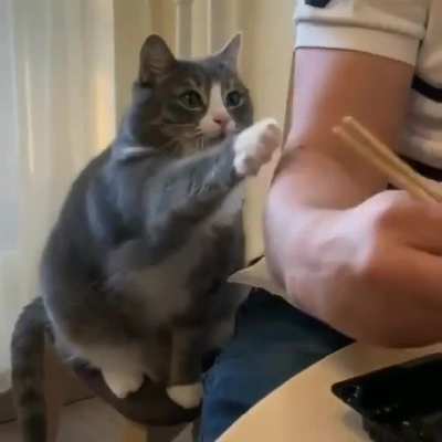 Дай.. Ц.. Дай.. Ц.. Даай