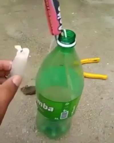 Primeiro rato a lua