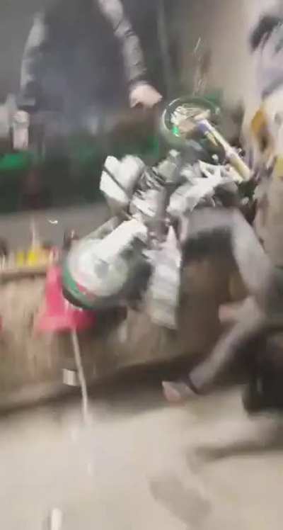 stupid is as stupid does