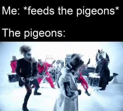 Ah yes ig the nero forte video can be used for memes too