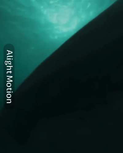 Whale killer edit