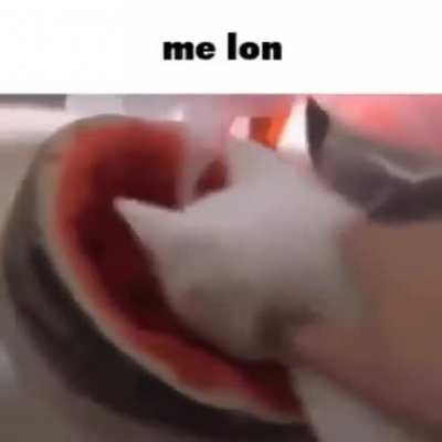 Nolem