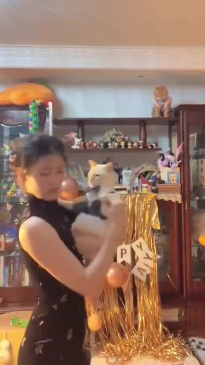 Michi tango