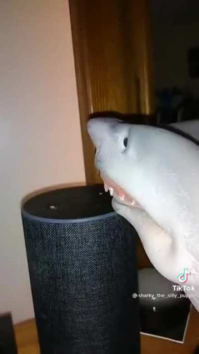 Y'all mind if I (((f a r t)))