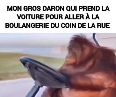 Les 7000 pas journaliers c'est pas pour lui