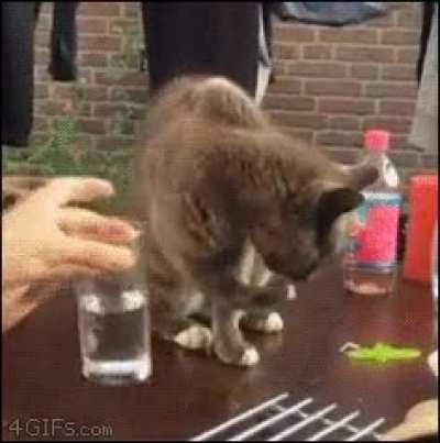 MRW I'm out drinking and the bartender cuts me off