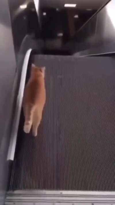 Wth