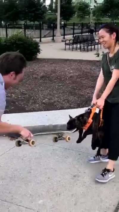 This is Pumpkin’s skateboard now