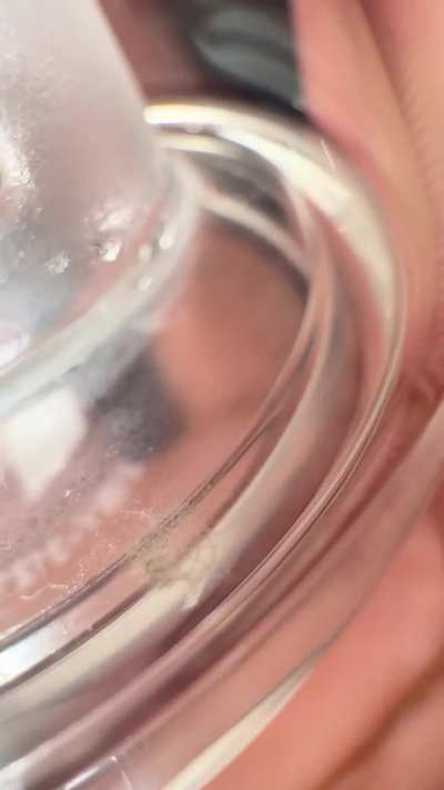 Mold?