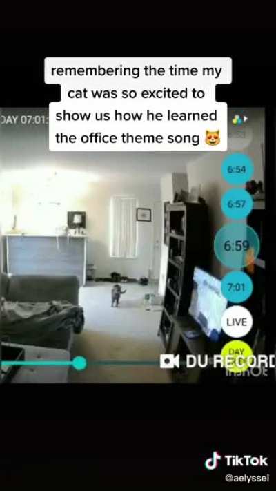 Talented Cat Scream perfectly cut