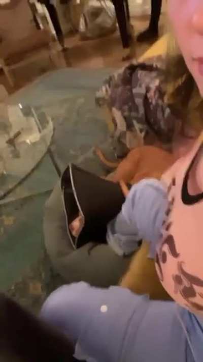 Serverlerin düzelmesi şerefine alkışlı kutlama