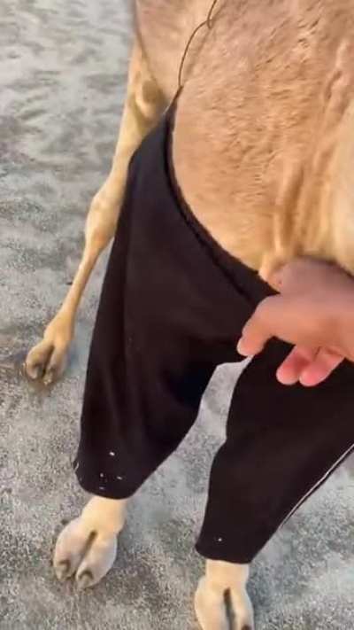 На пробе<wbr>жечку
