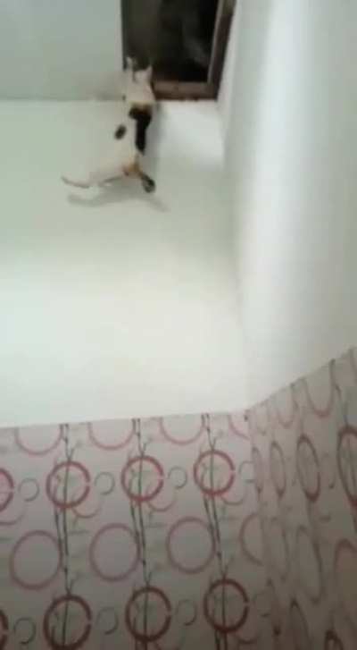 something on the attic