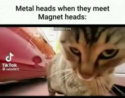 Magnet rule