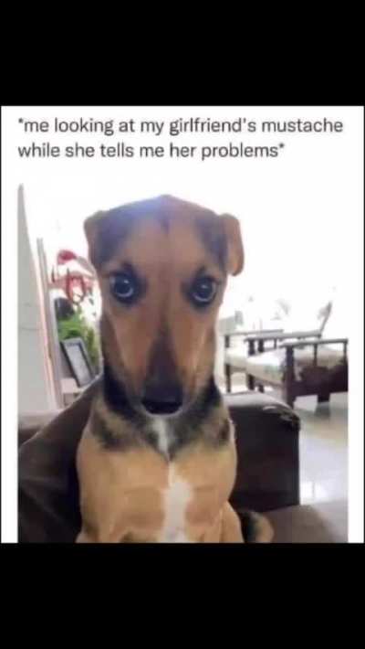 Meirl