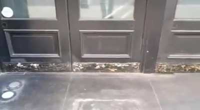 Maipu al 900 entre Sta Fe y Paraguay - Hotel Pullitzer, se robaron los herrajes, arrancaron las manijas y las paredes.