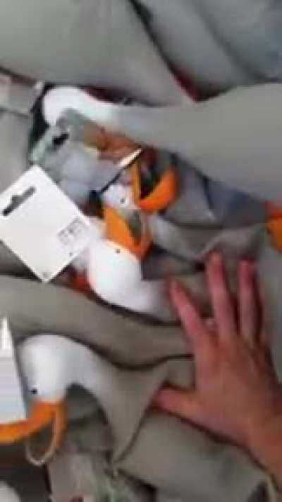 Duck army