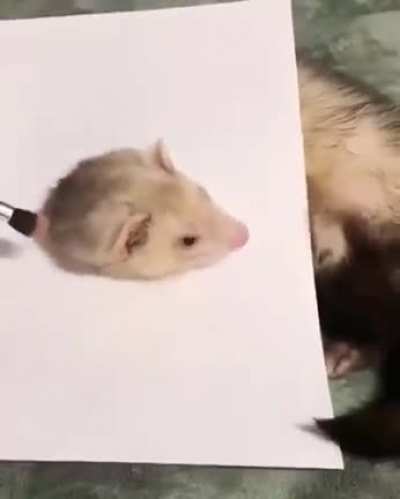 Made me jump