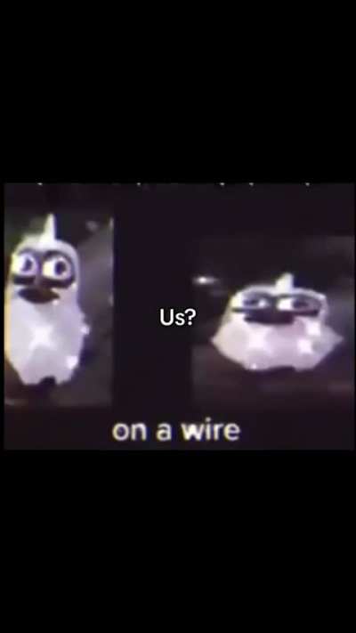 🐦