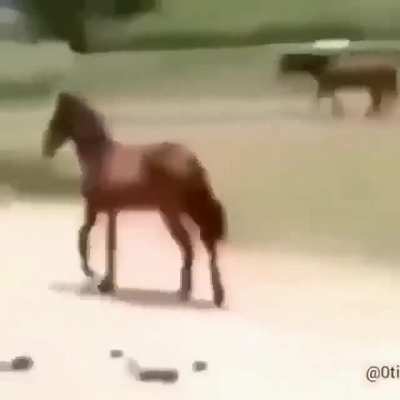 .....