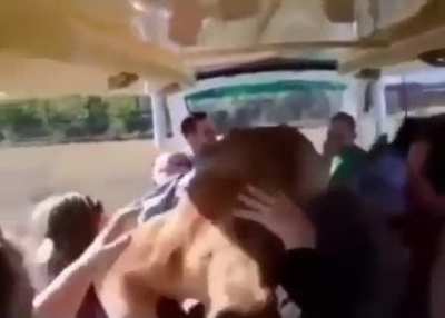-Родные мои, чмок-чмок,дорогие мои, чмок-чмок. - говорю я котлеткам, открывая холодильник после работы.