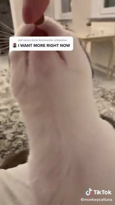 he crunch