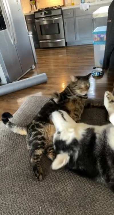They just moved in with each other 6 months ago and quickly developed a bond :)