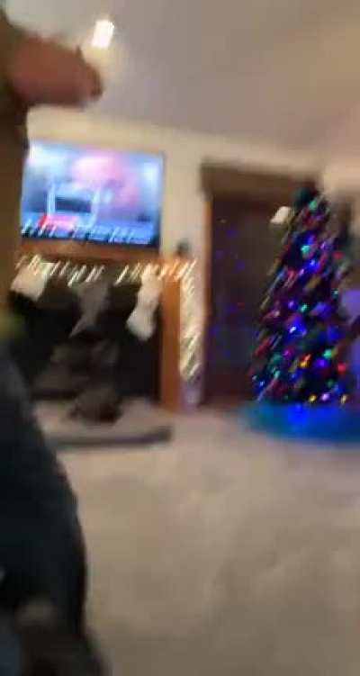 Dad plays VR Boxing