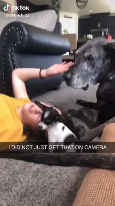 Found on TikTok