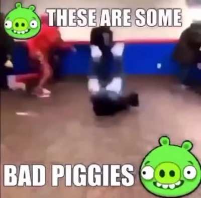 some baddy piggies 🐽🐷🐖