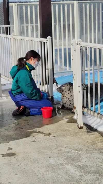 I went to Tokkari Center in Mombetsu and it was SO cool