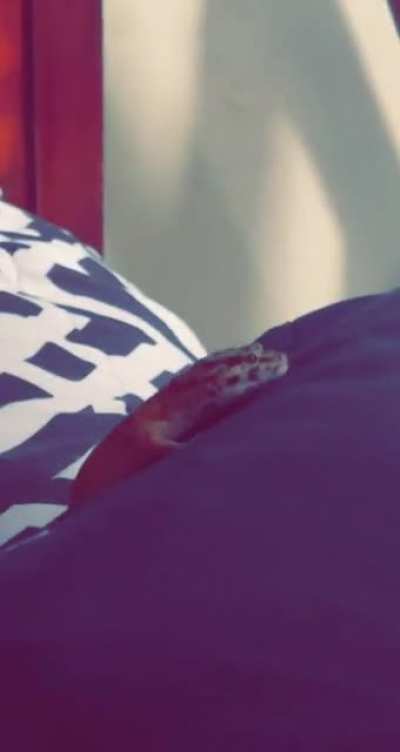 My lil buddy.