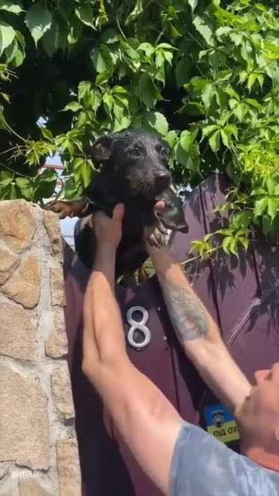 All in a volunteer’s day’s work, saving animals from the flood in Kherson, 06.06.23