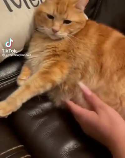 Is he okay?